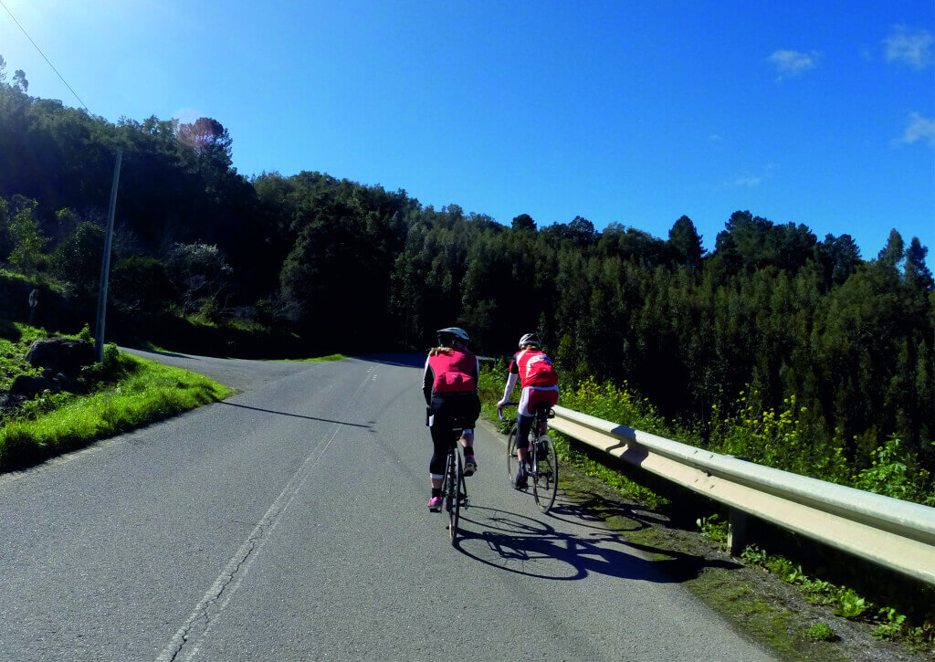 Algarve Cycling Tours - <br />
<b>Notice</b>:  Trying to access array offset on value of type bool in <b>/home/acyclingcom/public_html/tour-detail.php</b> on line <b>253</b><br />
 - Roadbike Algarve Roundtrip 3.23